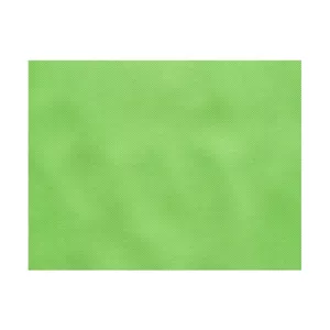 Set de table TNT 30x40cm Vert pomme